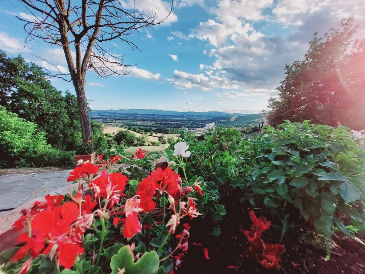 Al Podere Del Nonno Romolo Sansepolcro Eksteriør bilde