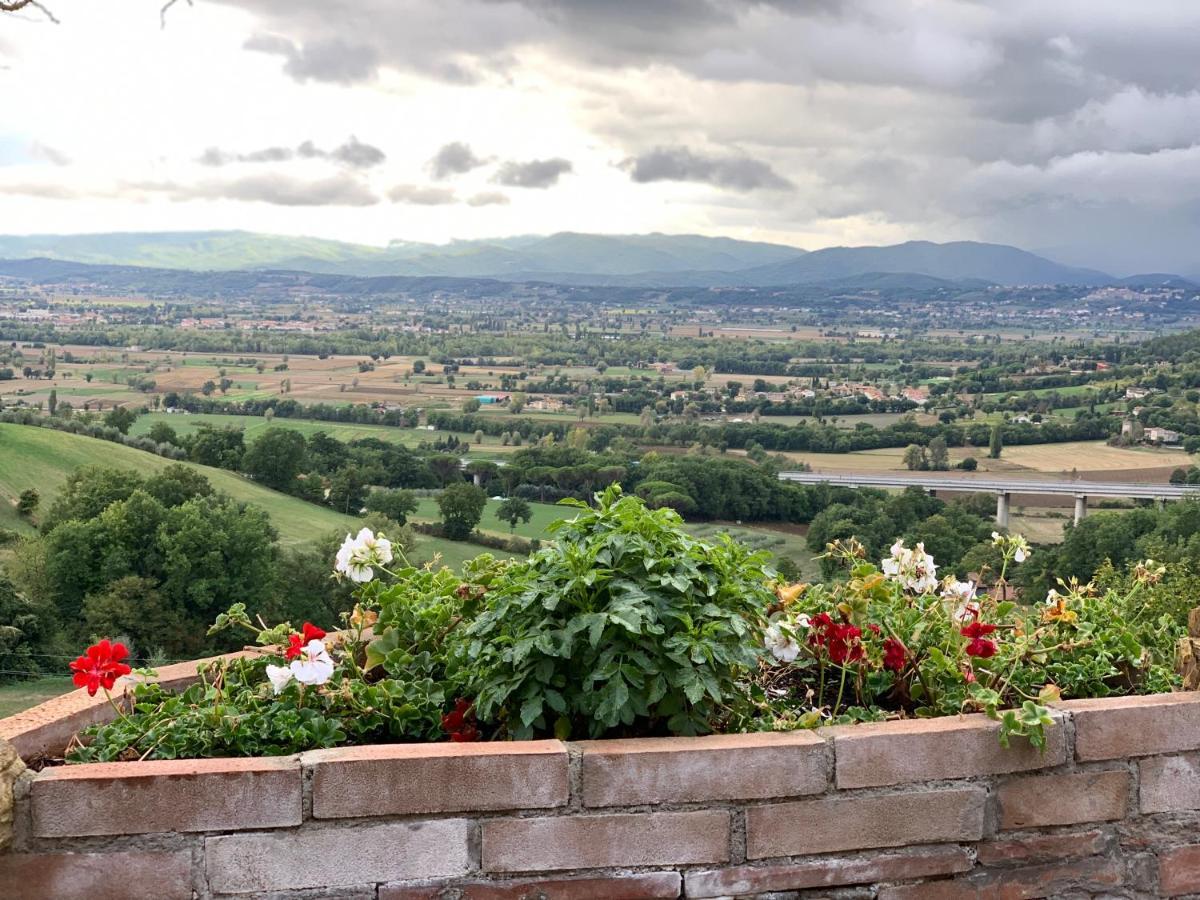 Al Podere Del Nonno Romolo Sansepolcro Eksteriør bilde