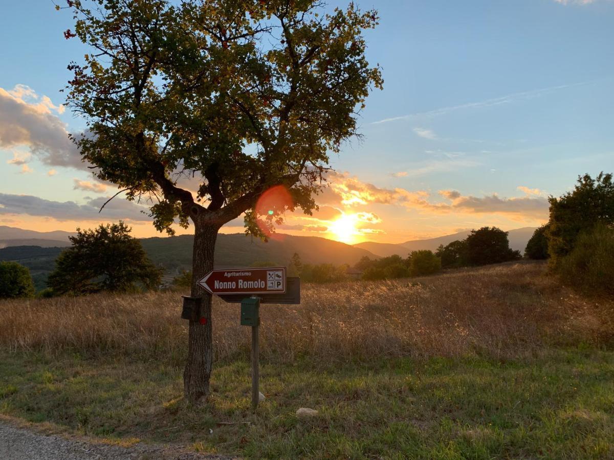 Al Podere Del Nonno Romolo Sansepolcro Eksteriør bilde